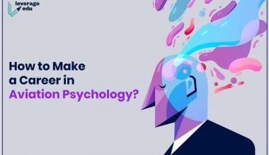 Aviation Psychology