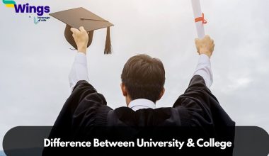 Difference Between University and College